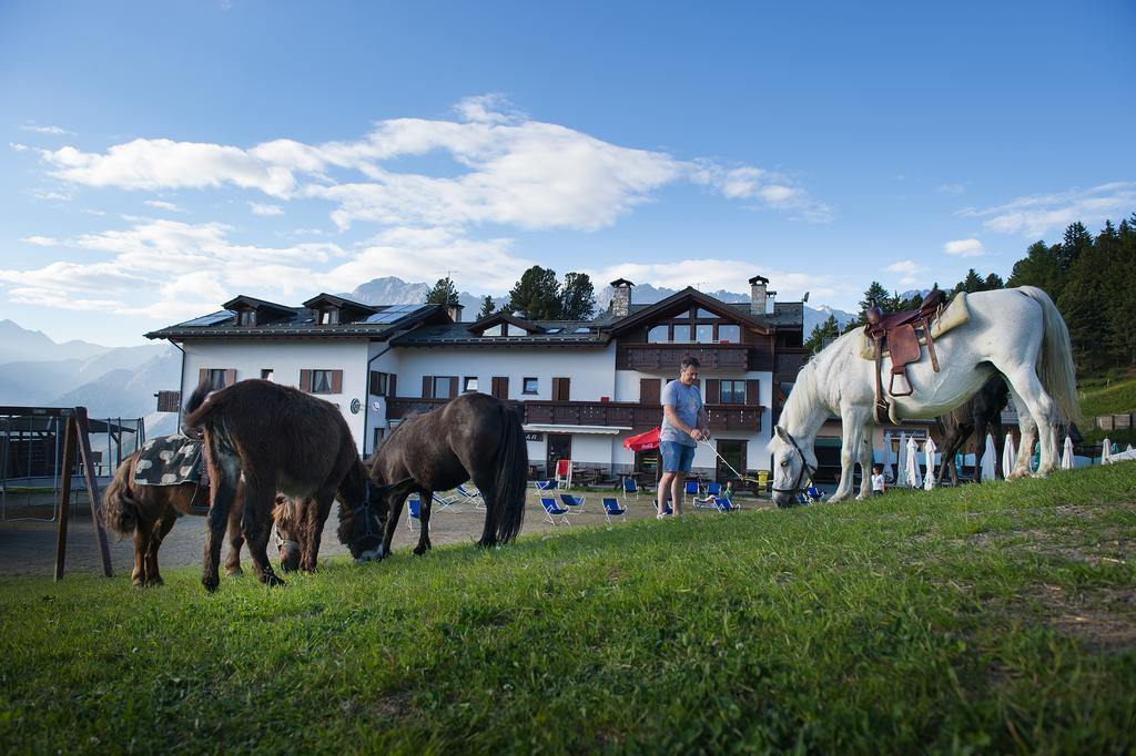 Hotel Gallo Cedrone Valdisotto Eksteriør bilde