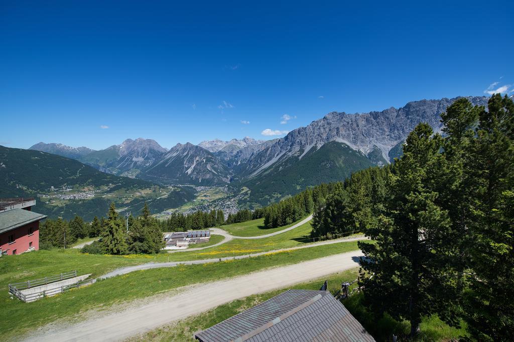 Hotel Gallo Cedrone Valdisotto Rom bilde